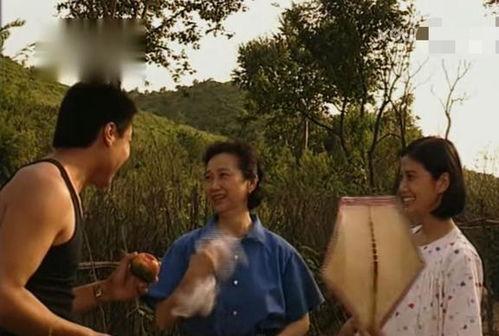 篱笆女人和狗电视剧