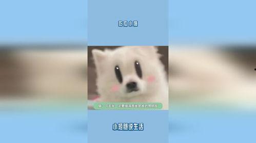 小猫吃瓜爆料